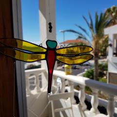 The Magic Dragonfly!