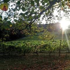 Château Régaldo-Saint Blancard