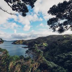 Te Whara at Kauri Mountain Point