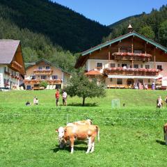 Am Ferienbauernhof Schmiedbauer com Salzkammergut