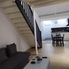 Duplex plein centre ville 10B