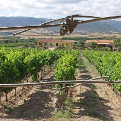 Agriturismo Campesi casale tra le vigne