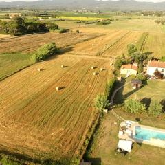 Il Bosco Agriturismo