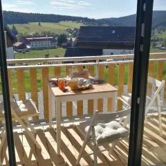 apartmán Pod Lapkou