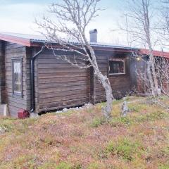 Beautiful Home In Vemdalen With 3 Bedrooms, Sauna And Internet