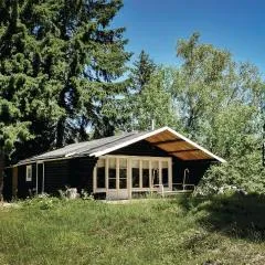 Two-Bedroom Holiday Home In Mansarp