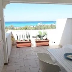 Bluvertigo-Panoramico, Dune