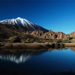 Las Terassas- Playa de las americas - Ténérife- Espagne