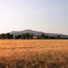Agriturismo Il Pescinone