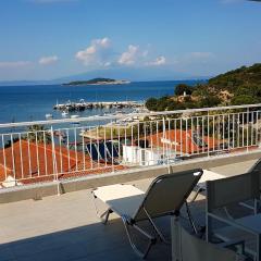 Aristotelia Gi - Panorama