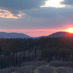 Pano Hohegeiß App 363 mit Wlan