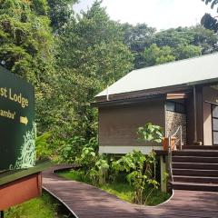 Mulu National Park