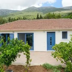 Kokonis House