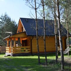 Zacisze Leśne- Domek do wynajęcia