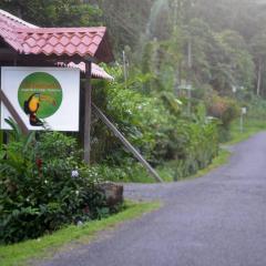 Pachamama Jungle River Lodge - Punta Uva