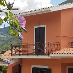 La Casa Del Mosileo