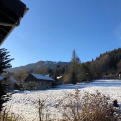 2 pièces avec terrasse Morillon Village