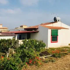 CASA VACANZA PALMENTO BELLA