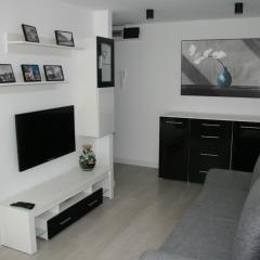 Apartament Miedzianka