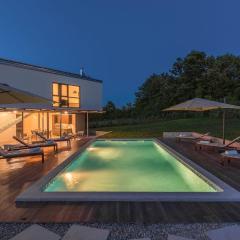 Luxury villa Fratello in Istria, private pool