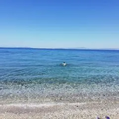 Fotis Apartments