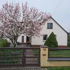 Auf Dem Land und doch ganz Nah