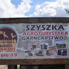 Agroturystyka SZYSZKA