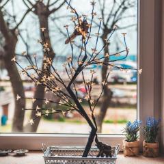 Luxury with sea view