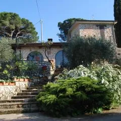 B&B H.M.