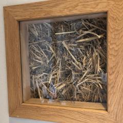 Poelyck: Übernachten in einem Strohhaus, umgeben von purer Natur!