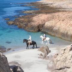 Bahia Bustamante Lodge