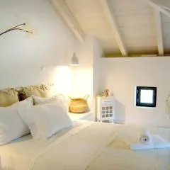 To Spiti - Pelion House