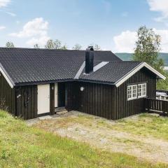 Stunning Home In Hemsedal With Kitchen