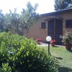 Il Gelsomino Bio Agriturismo