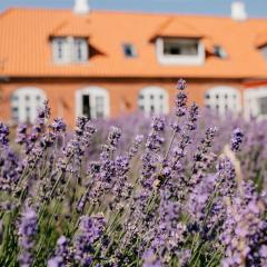 Jungshoved Præstegård B&B