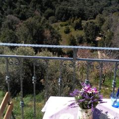 Stellaria casa vacanze in montagna panorama stupendo Sardegna