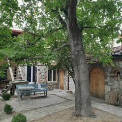 Rostomaant Marani Family Winery Guest House, Telavi