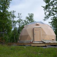 Aurora Dome