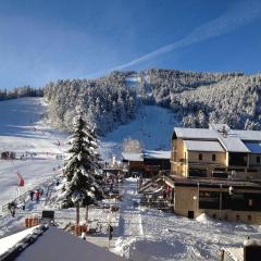 Un Isard au Pied des Pistes