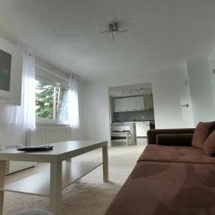 Moderne helle 2,5 Zimmer Wohnung mit großem Bad und Küche in Trossingen