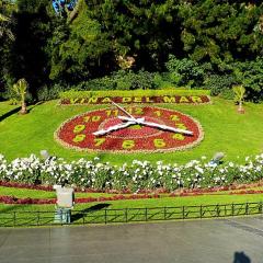 Apartamento Edificio Viña del Mar