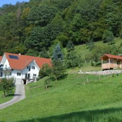 Ferienwohnung im Herzen des Renchtals