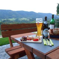 Teisenbergblick