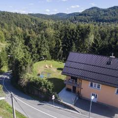 Apartman Sara - Delnice