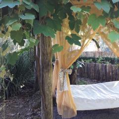 Espaço Holístico Chalés