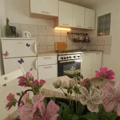 Apartman Goga