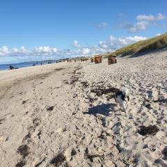 Ostsee, Strand & Me(e)hr erleben, Speziell für Familien, Fe/wo "Sunny" am Bodden/Fischland/Ribnitz