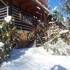 Chałupa z widokiem w górach