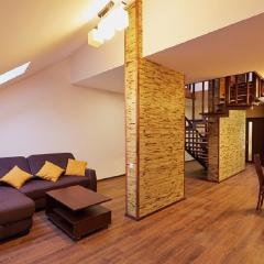 Apartment on Lychakivska