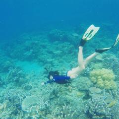 The Cliff Hostel, M'Pay Bay